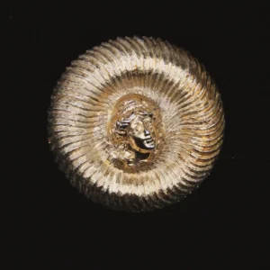 VINTAGE "Two Different Faces." Monet Muse & Abstract Modernist Brooches in Gold Tone