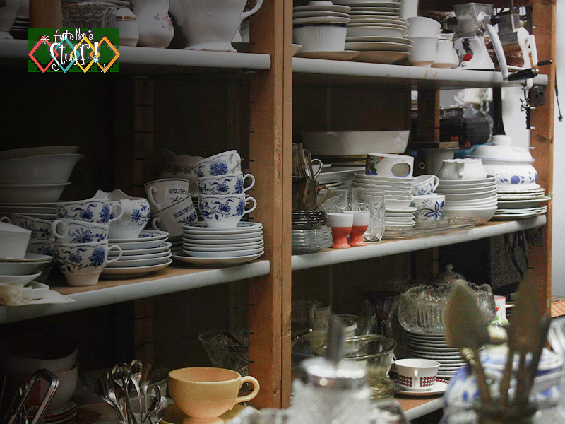 Collecting Blue Cornflower